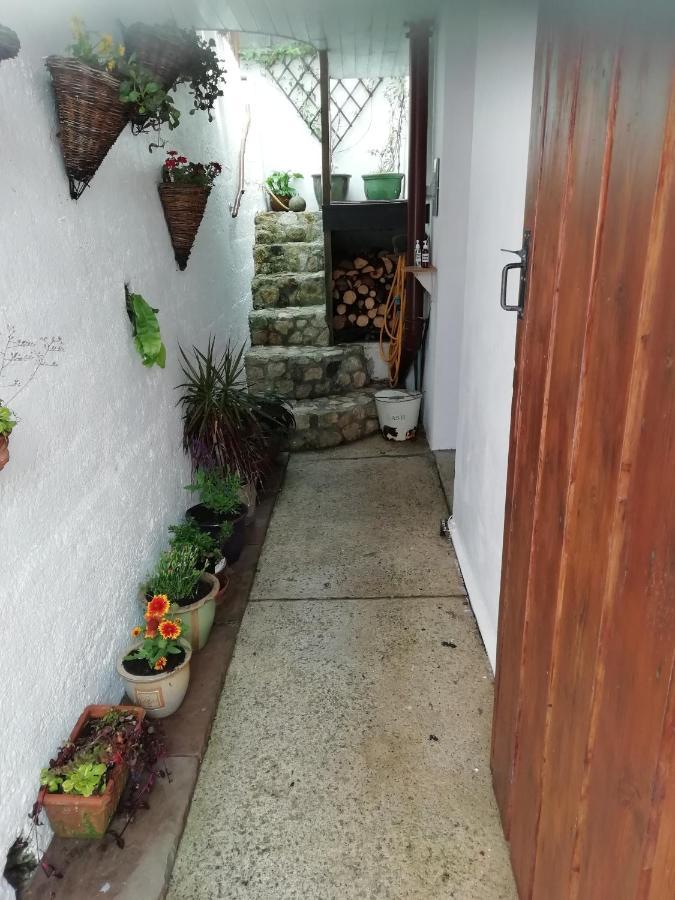 Clearview Cottage St. Austell Eksteriør bilde